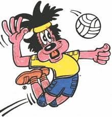 Volleyball